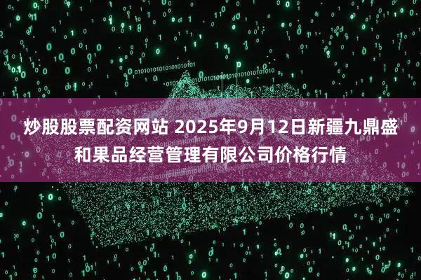 炒股股票配资网站 2025年9月12日新疆九鼎盛和果品经营管理有限公司价格行情