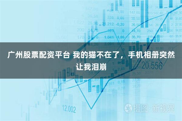 广州股票配资平台 我的猫不在了，手机相册突然让我泪崩